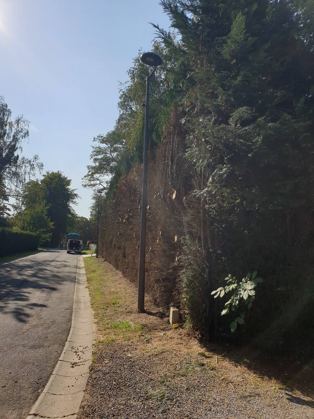 Elagage et Abattage - Wavre