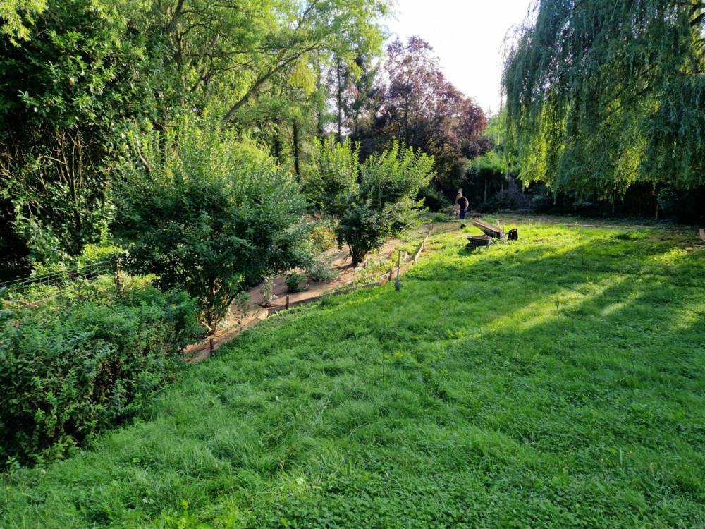 Rdu Binche Crocki (6)