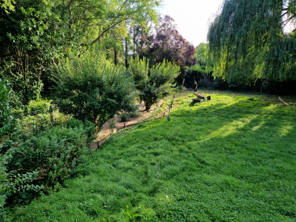 Rdu Binche Crocki (7)