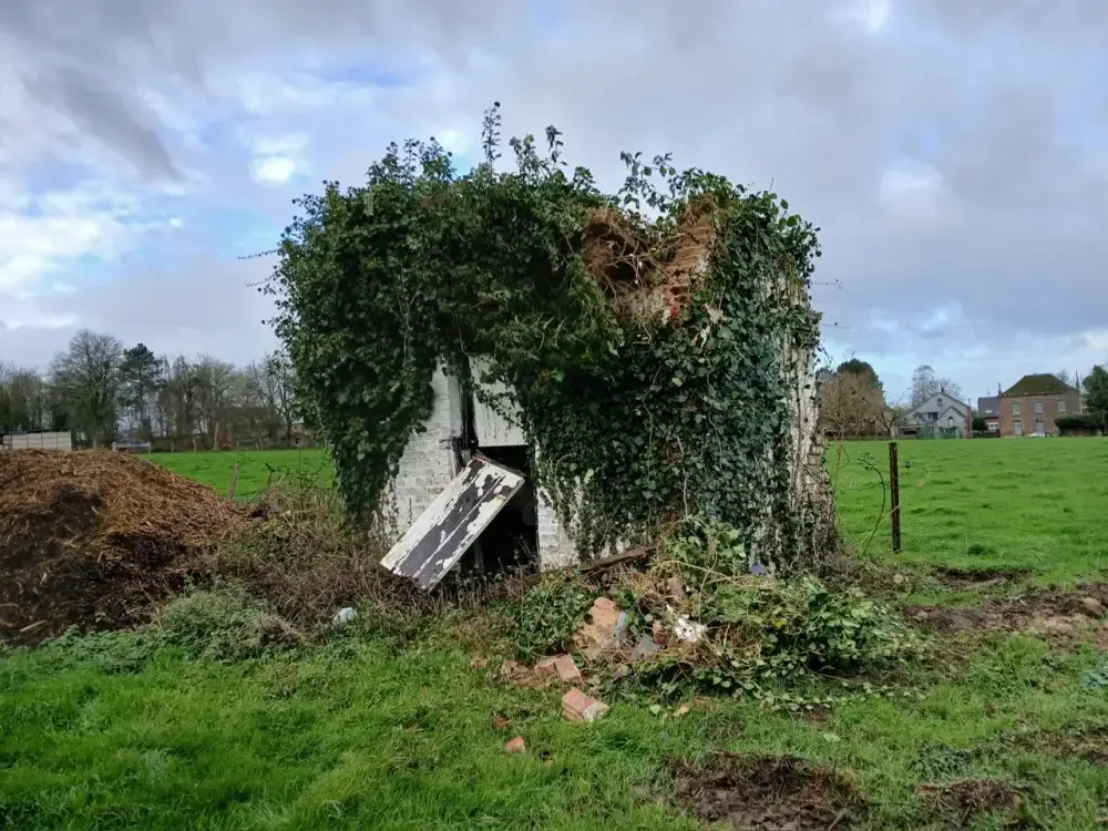 Démolition cabanon (1)